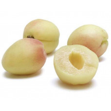 Appricot Afghanistan ( 700g-800g ) 1 pckt
