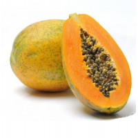 Indian Papaya